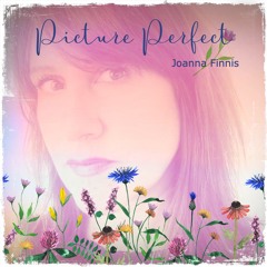 Picture Perfect - Joanna Finnis