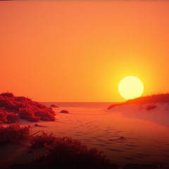 A Paradise Lost