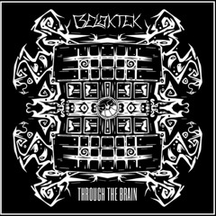 Through the brain - BELEKTEK