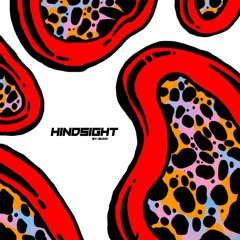 Hindsight