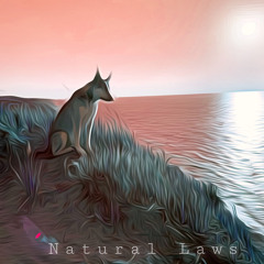 Natural Laws