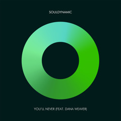 You'll Never (DJ Spen & Reelsoul Remix) [feat. Dana Weaver]