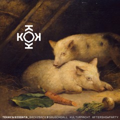 Siddata b2b Tekay - musikalische Liaison @Sauschdall Ulm