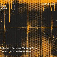 Subspace Pulse w Meltem Yazar - Netil Radio - 16th Jan 2025