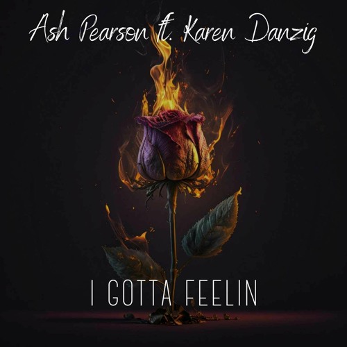 ASH PEARSON FT KARREN DANZIG - I GOT A FEELING
