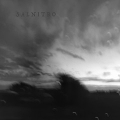 CHI CRESCE NEL SALE SA' COSA VUOL DIRE AMARO