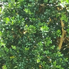 Spooky shedDrummmssssBass3Piano 1_211555137_211754758.mp3