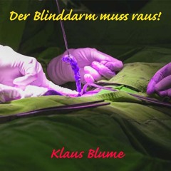 Der Blinddarm muss raus!