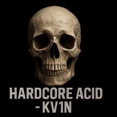 KV1N - HARDCORE ACID