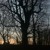 Artwork for DawnChorus_Bavaria_Gorman