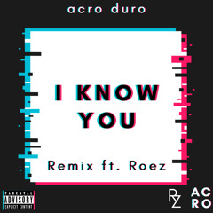 I Know You (Remix) ft. Roez