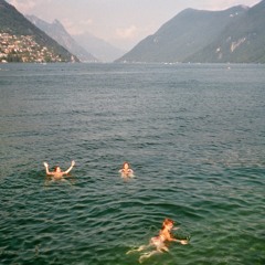 le cygne (camille saint-saëns, transcr. leopold godowsky)