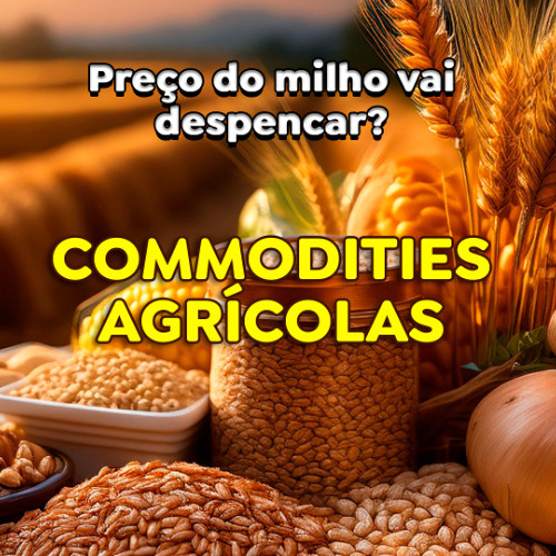 Preços do milho vão despencar com a entrada da safrinha?