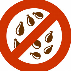 No Seed Ft. Milio-San