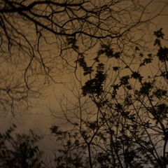 El Nomade (a song to Roberto Bolaño poem)