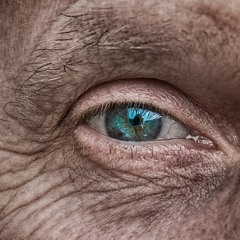 The Old Man And The Forest