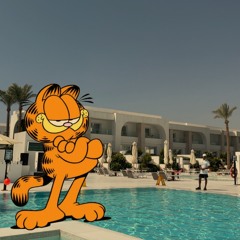 بطل عالم   مروان موسى ريمكس Dj