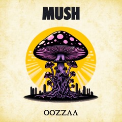 Mush (Original Mix)
