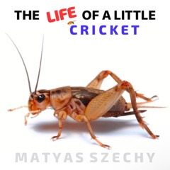 Waltz of the Caterpillar (Outro)