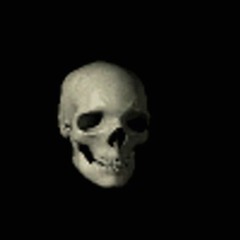 skull spinning in a dark void