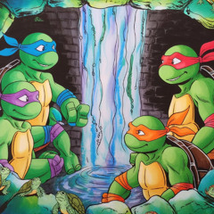 Seweracidturtles (Demo)