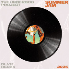 The Underdog Project - Summer Jam 2025 (DLVN Extended Remix)