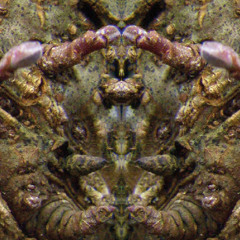 Sinfonie Nr.2 "EGGERT" – Satz Nr.5