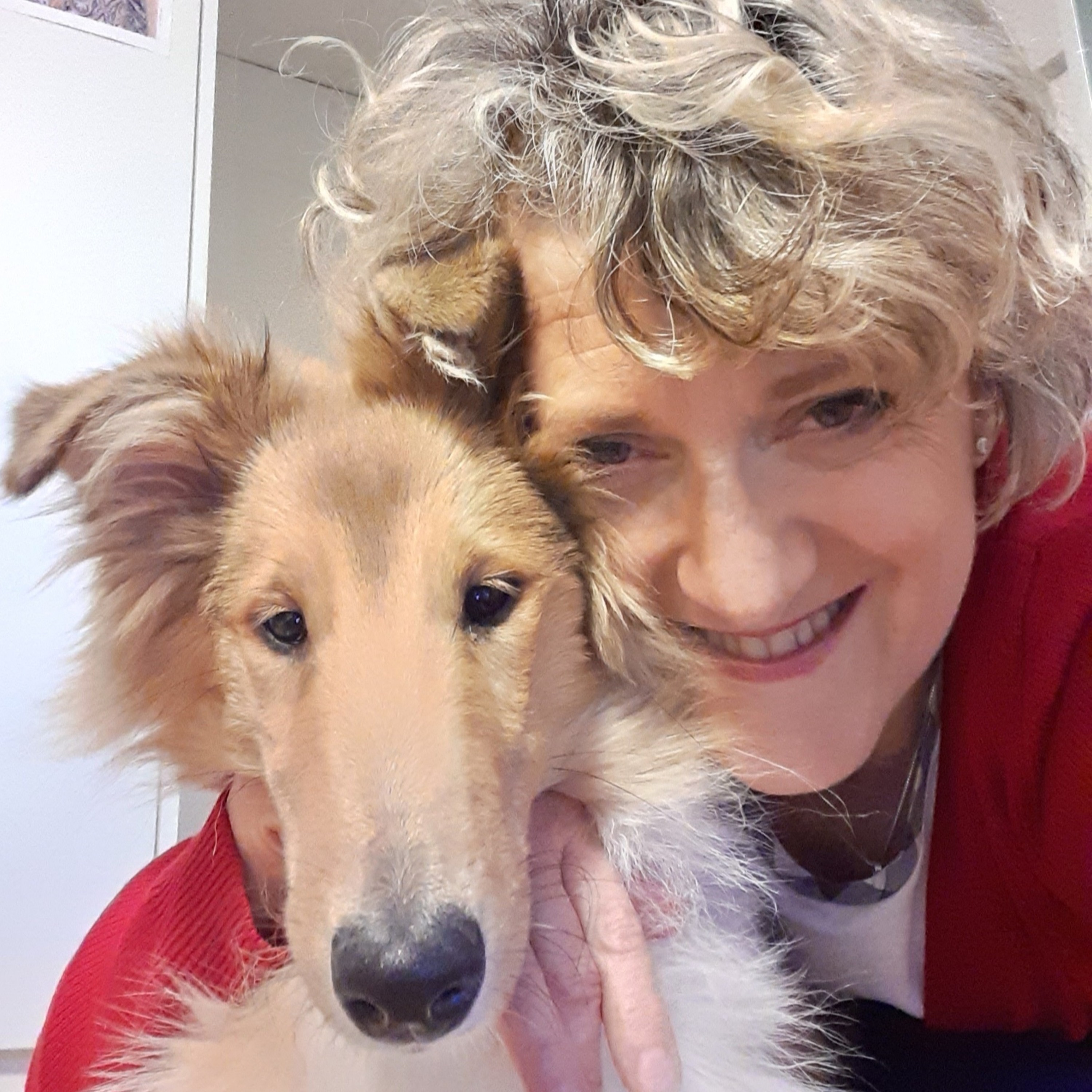 Quattro Stagioni 16 - Animali che giocano e ridono(30.4.20)