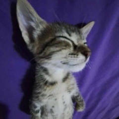 MlodyHacken - Pora Obudzić Się (Każdemu Z Moich Braci)