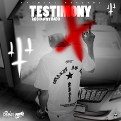 TESTIMONY