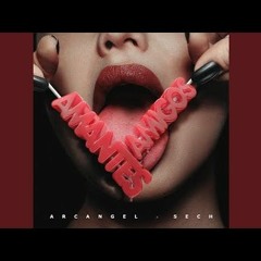 Amantes y Amigos - Arcangel Ft. Sech - Intro Chorous 92bpm - @DJDASHNY.mp3
