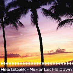 VIZE - Never Let Me Down | Hardtekk Remix