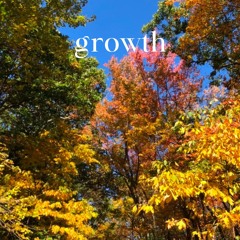 finding peace in an uncertain world