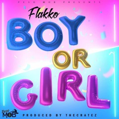 Flakko - Boy Or Girl (Gender Reveal Song)