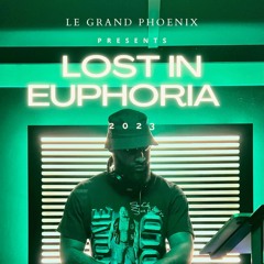 Lost in Euphoria