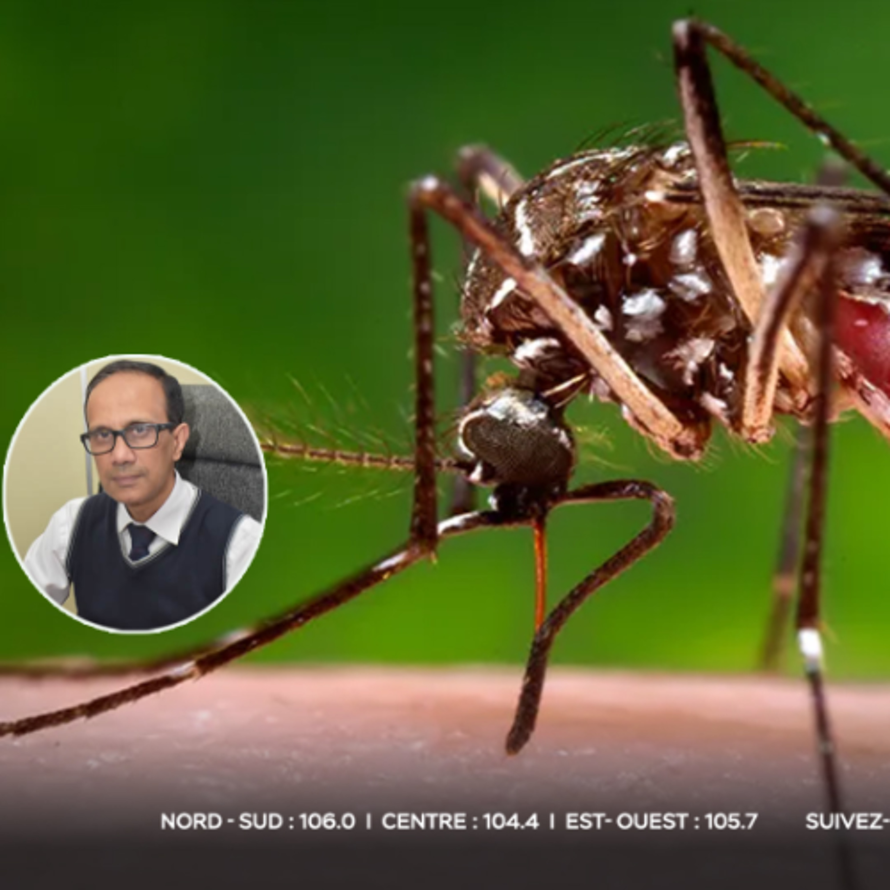 Chikungunya : plusieurs cas sensibles recensés, dont un nourrisson de moins d’un mois