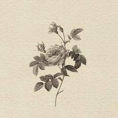 Whalien 52-BTS