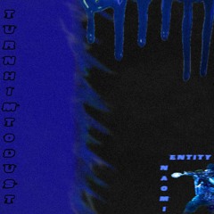 TURNHIMTODUST FT. ENTITY (STVNK!)