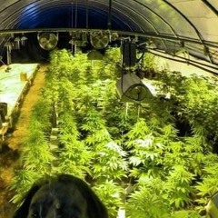 Cheque🍻_ #Free# _ Defxnv