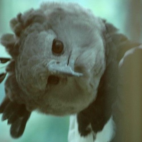 JUMPTEKK (Ultra Slowed)