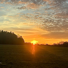 Morning Has Broken - A Christian McIntosh