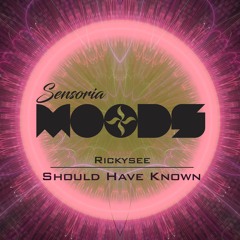 Rickysee - Should Have Known