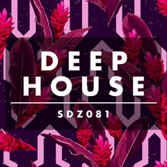 SDZ081 ZEN-Core Sound Pack “Deep House” - Demo Song