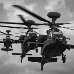 ROTOR BLADES (FREE DL)