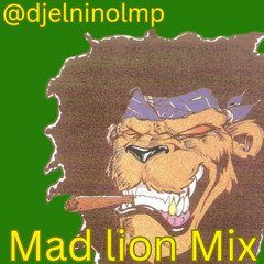 Mad Lion Mix (Shoot To Kill, Take It Easy, Guerrero Borincano, Real Lover, Safe Sex No Freaks)