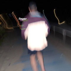 linger (collin linn rooftop bootleg)