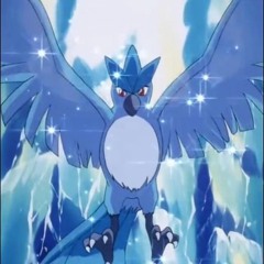 Articuno 3
