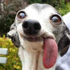 PIP DEN HAAG | HALLOWEEN 2024 | PARTY GIRL | SPIEGELZAAL | TONG UIT JE BEK