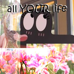all YOUR life