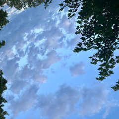 Within This World (for Piano)